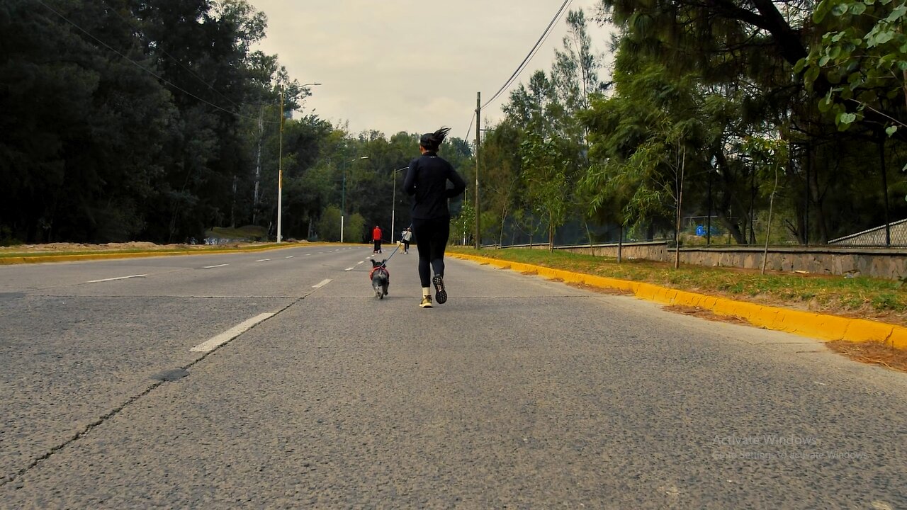 Female runner walks her dog