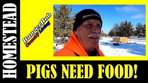 Homestead & Pig Feed: FROZEN, WHAT TO DO NOW!