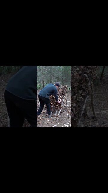 3 Survival Shelters you NEED to Know! Primitive Technology