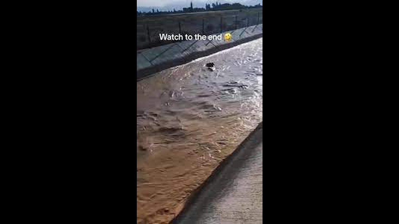 RESCUE OF A COW FALL IN A DRIVE WITH A BUCKET