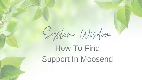 How To Find Moosend Support