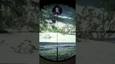 Neck shoot #callofthewild #cotw #game #mrandmrswolfgaming #shorts