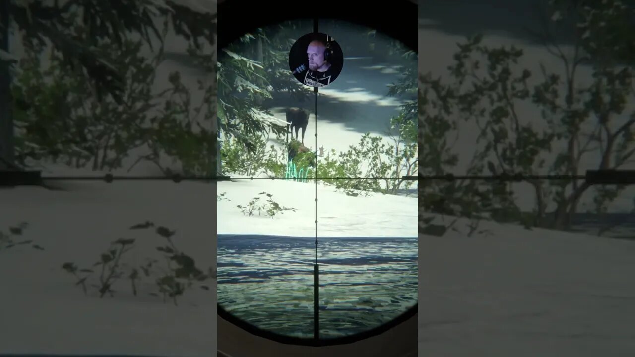 Neck shoot #callofthewild #cotw #game #mrandmrswolfgaming #shorts