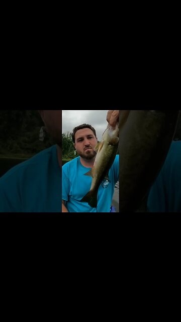 LARGEMOUTH BASS Never Broke my heart...