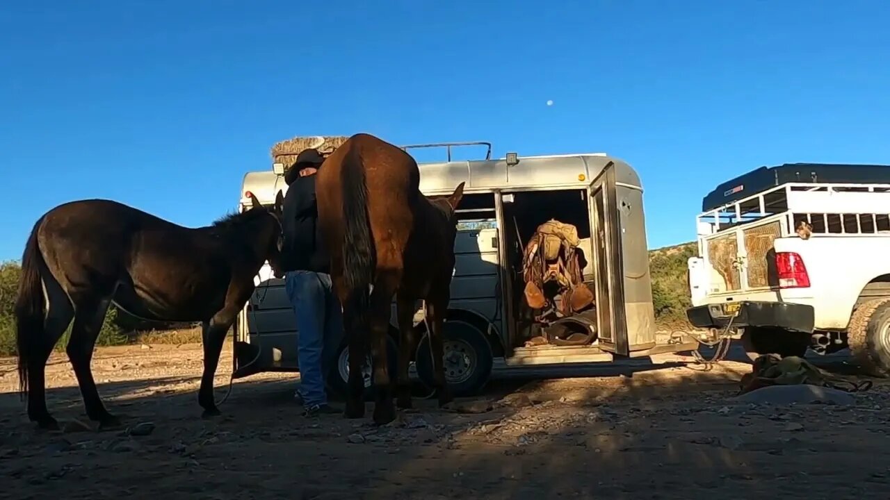 One day tour. into the desert # 4