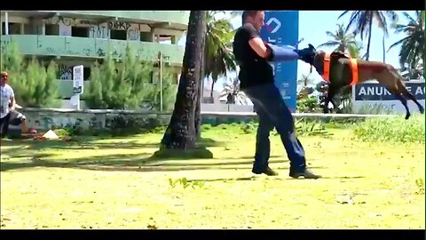 TREINO LANÇADO NA PRAIA COM ISAAC