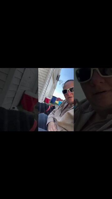 Can’t Just Sit And Enjoy The Weather With Dogs. #lycanshepherd #shepherdmix #dogsplaying