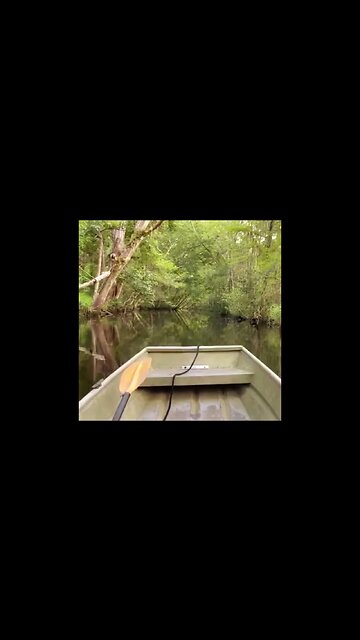 Let's go down the Olkawaha river