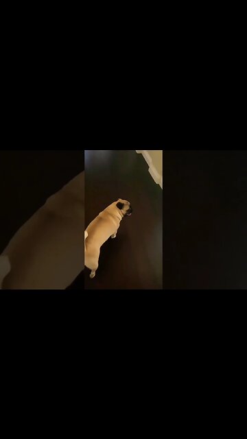 Last Christmas #shorts #foryou #viral #foryoupage