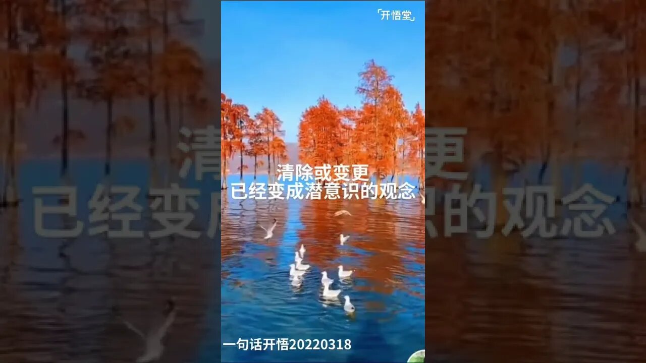 一句话开悟20220318