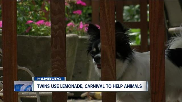 Hamburg kids making more than just lemonade