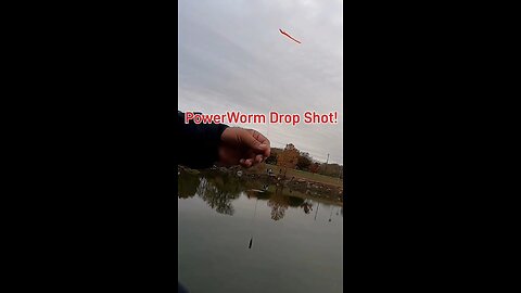 Try a PowerWorm Drop Shot Rig for Trout! #fishing #Trout #tips