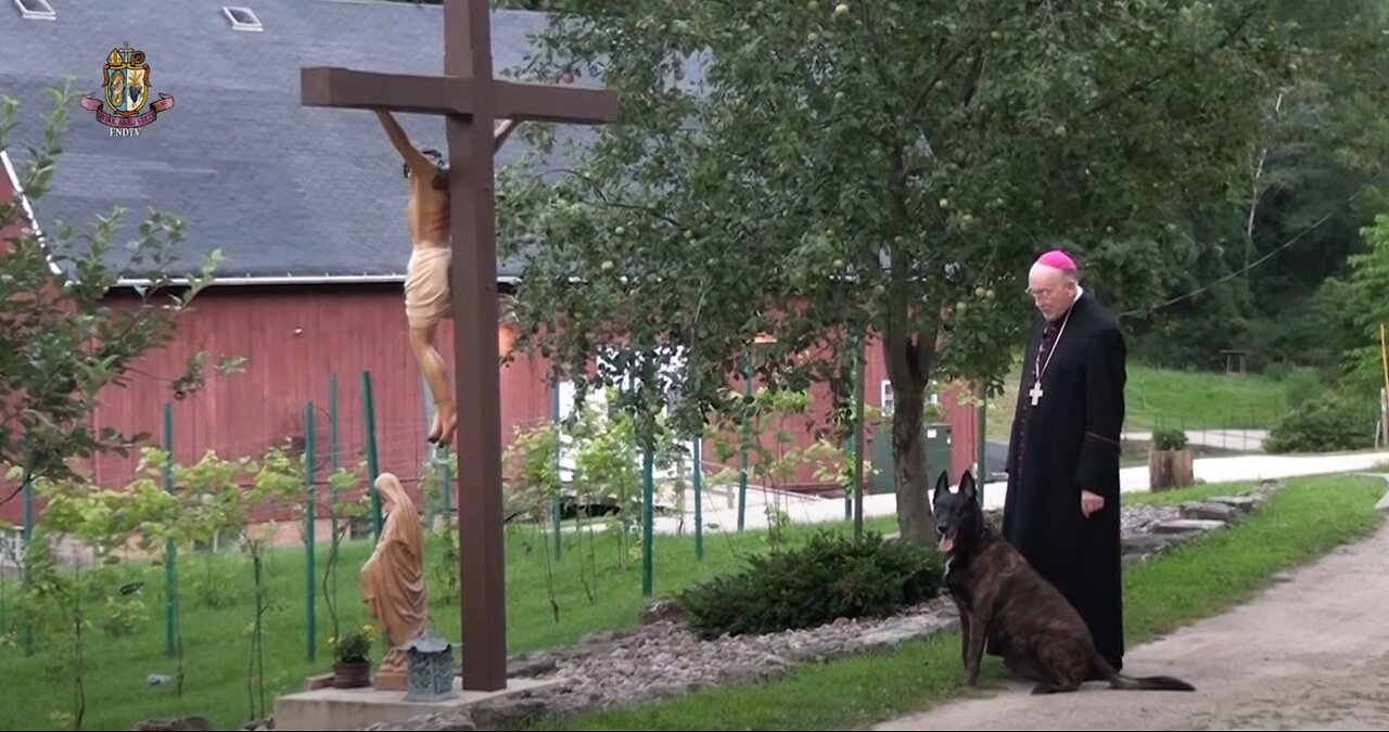 La volonté - Mgr. Jean Marie, snd vous parle