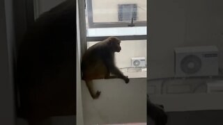 he was pissed 😡😡 #shorts