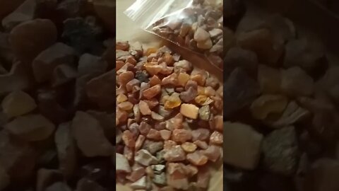 #shorts #bernstein #rohbernstein gibt's im Shop www.bernsteinhaus.com