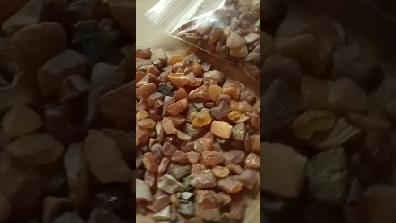 #shorts #bernstein #rohbernstein gibt's im Shop www.bernsteinhaus.com