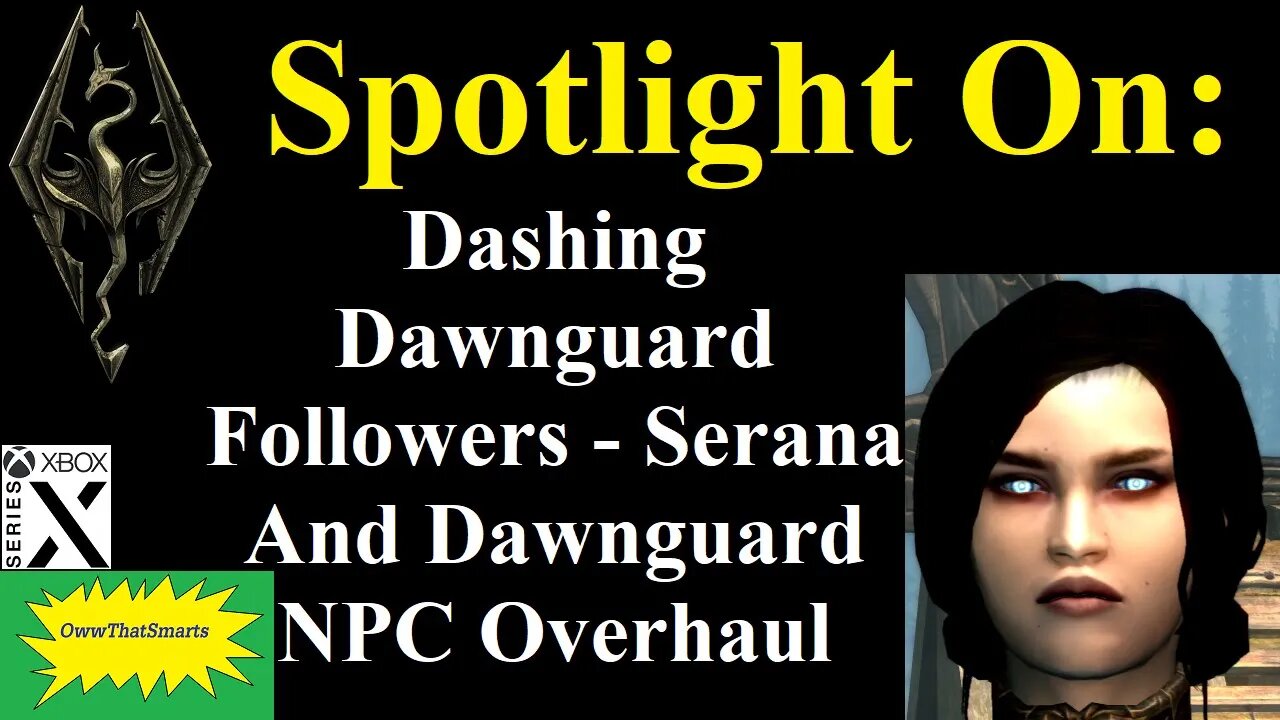 Skyrim (mods) - Spotlight On: Dashing Dawnguard Followers - Serana And Dawnguard NPC Overhaul