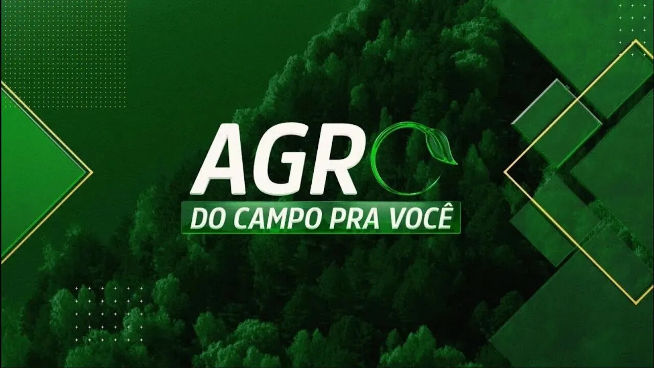 DIA DA ALIMENTAÇÃO: USO SUSTENTÁVEL DA ÁGUA PARA ALIMENTOS | AGRO: DO CAMPO PRA VOCÊ - 15/10/2023