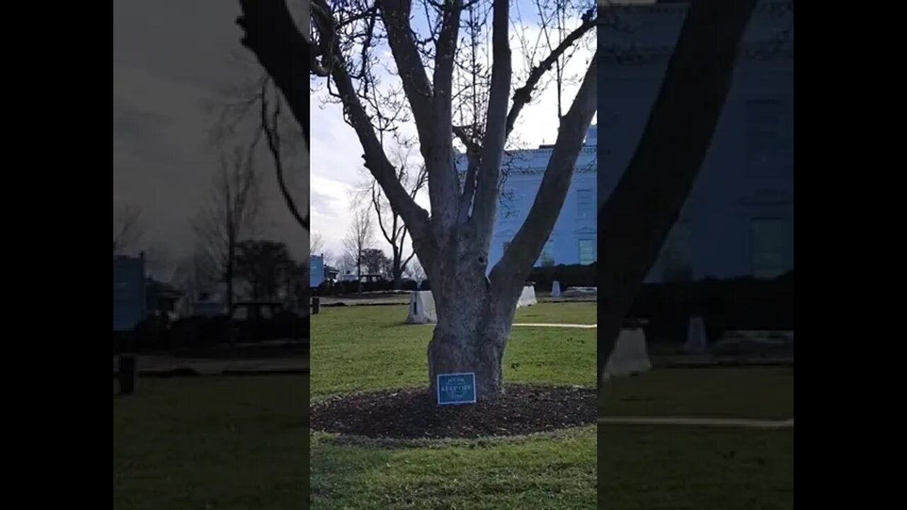 1/10/22 Nancy Drew in DC- Live Video 5- Making Progress on WH Lawn Wall- The Irony of This...