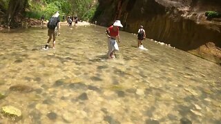 The Narrows in Zion National Park.