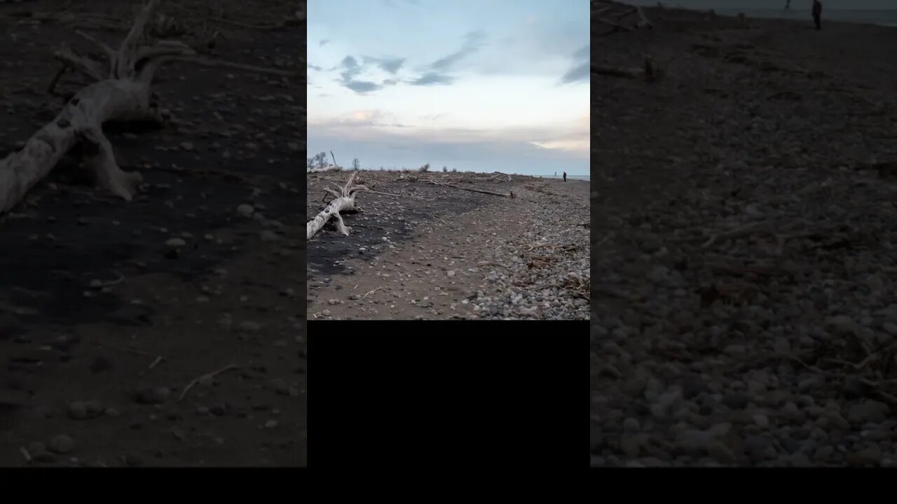 Rondeau Provincial Park At The Beach Timelapse #shorts #short