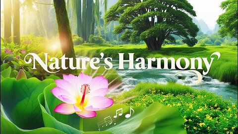 Nature's Harmony 🌺 Soothing Relaxing Music for Stress Relief & Meditation