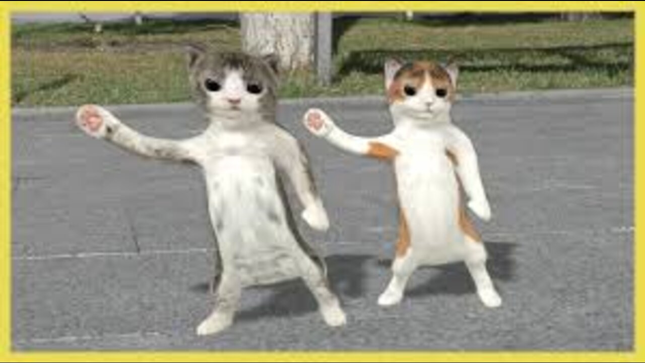 Funny Cat Dancing To The Beats