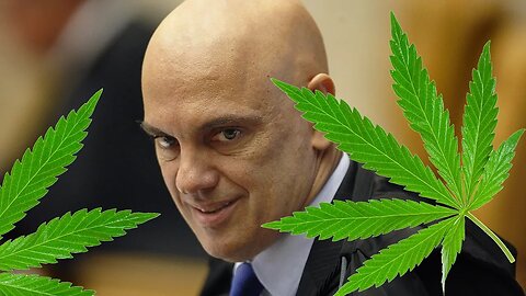 ALEXANDRE (STF) LIBERA A MACONHA PARA TODO BRASIL E O POVO VAI AGUENTAR O CHEIRO CALADO? #URGENTE