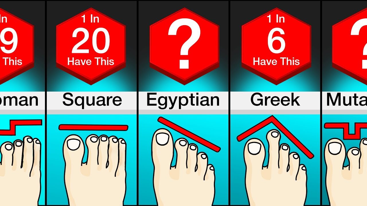 Comparison: Different Types Of Feet