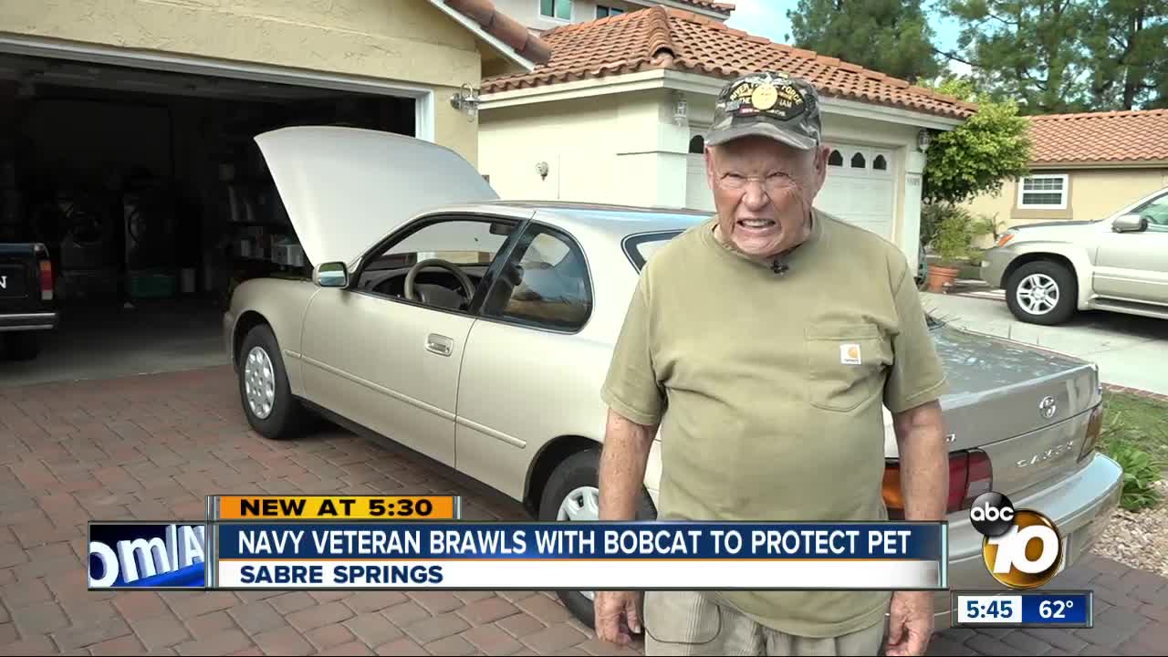 San Diego Vietnam veteran brawls with bobcat to save dog from attack