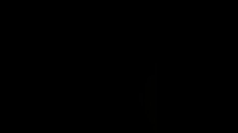 How to pronounce adoption