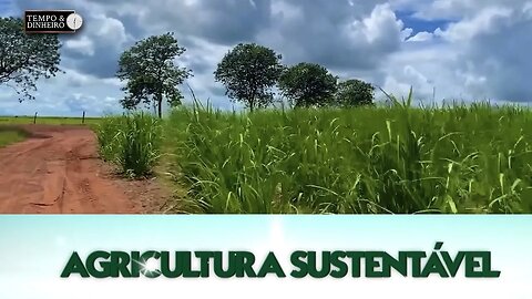 Agricultura Sustentável: Com Frederico Olivi