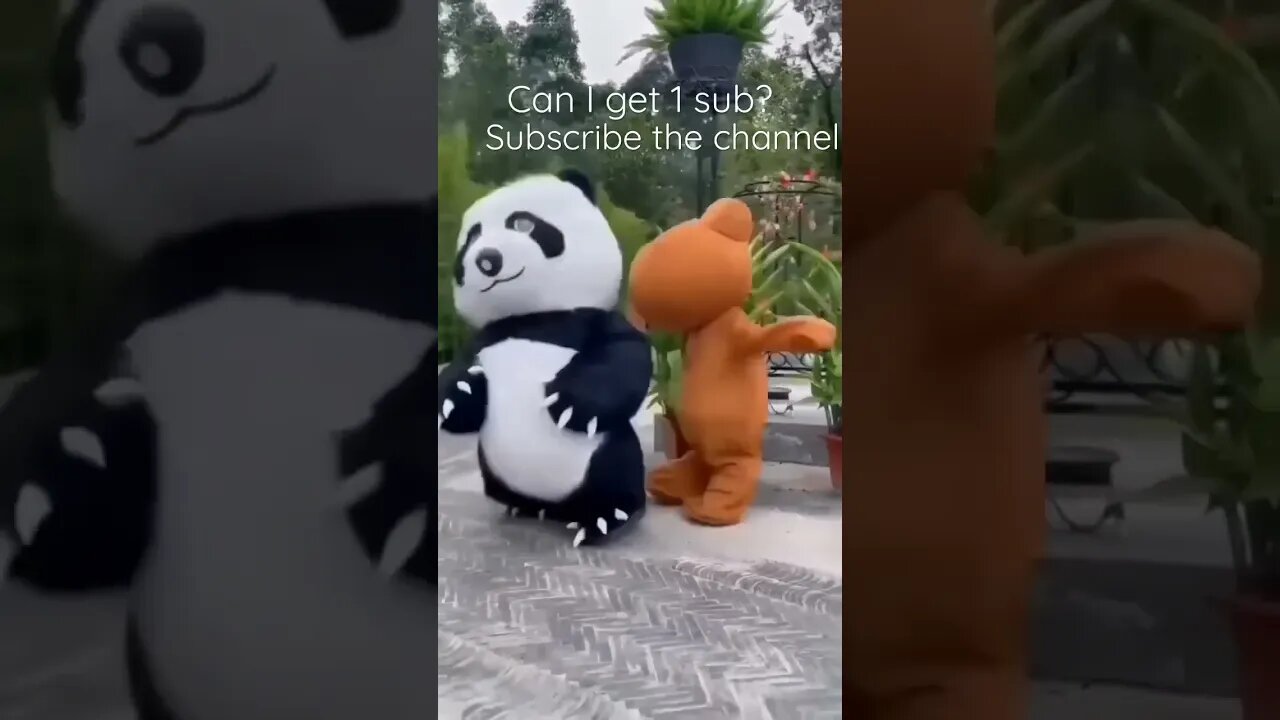 Cute panda very naughty #entertainment