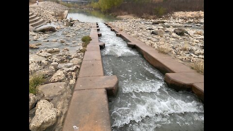 Urban Fishing In San Antonio