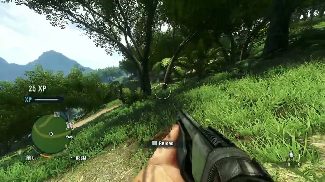 Shot The Second Guy First