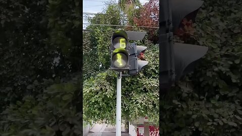 Funny Crosswalk in Mexico