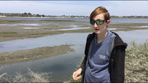 Bolsa Chica Reserve