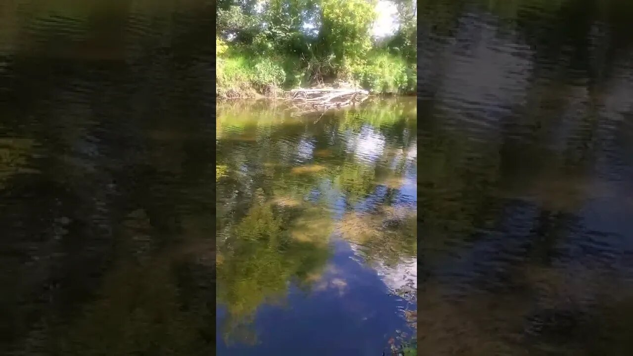 soothing shallow river