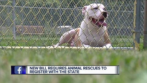 New bill requires animal rescue organizations to register with the state
