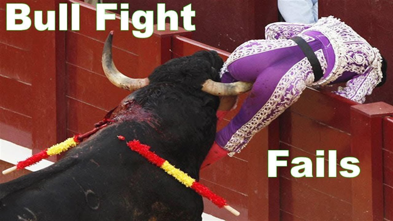 Best funny videos 2021| Most awesome bullfighting festival | funny crazy bull fails