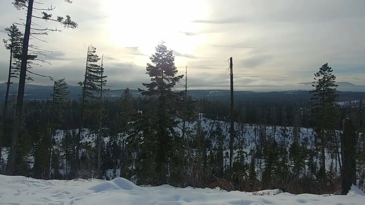 Snowshoeing the Swift Creek Trail