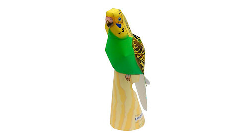 Australian paper parakeet/Periquito de papel australiano