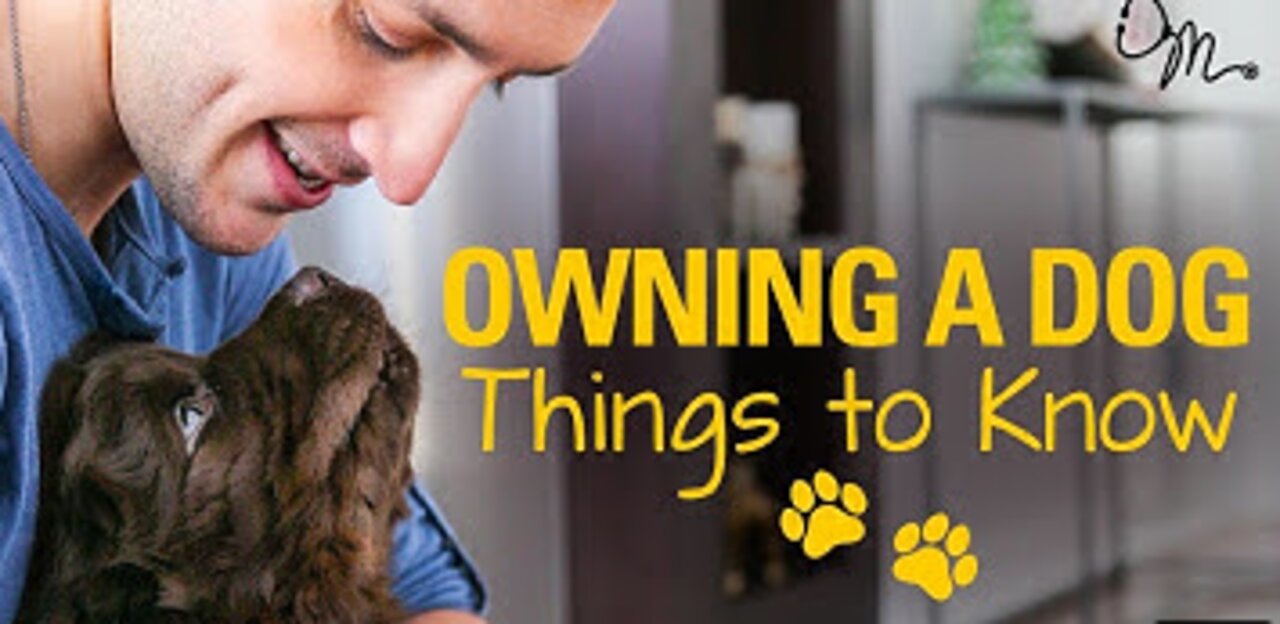 OWNING A DOG | Things to Know Before Getting a Puppy! |