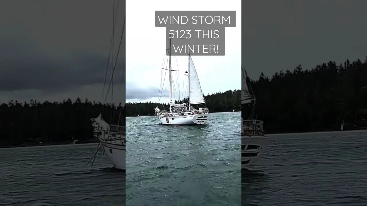We Are Getting Tossed So Tried Putting The Mizon Up And It Works! #shorts #sailboat
