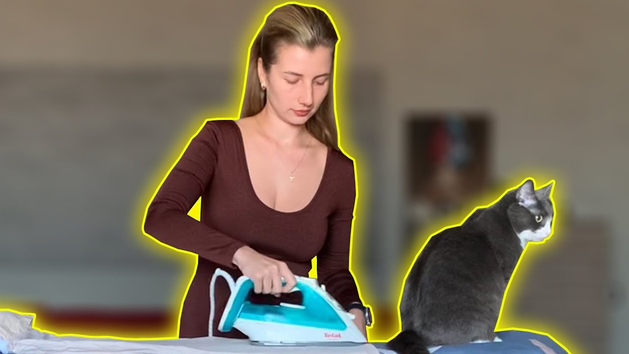 Usual chores: Ironing clothes with my cat!