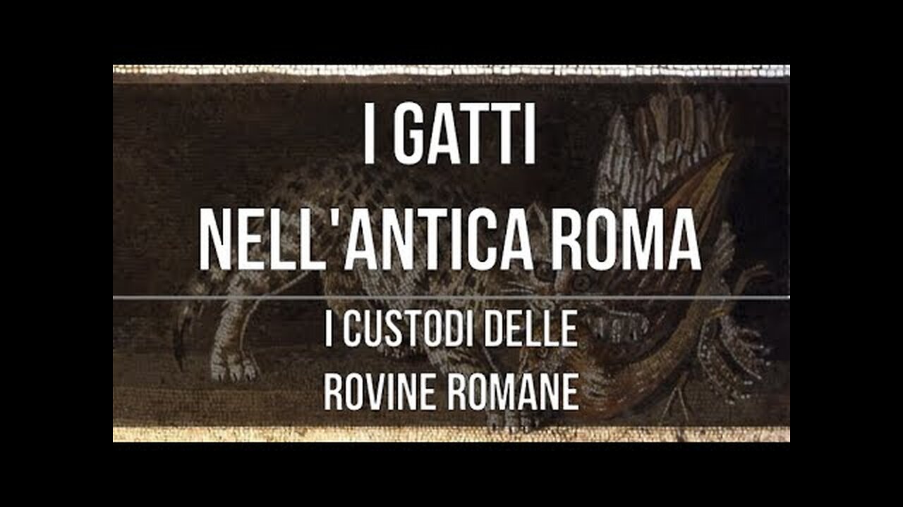 I gatti nell'antica Roma DOCUMENTARIO tratto caratteristico fondamentale della religione egizia era proprio la venerazione degli animali,fra cui i gatti e la zoolatria.il leone era simbolo del potere regale.Il Grande Gatto era il dio Sole Ra