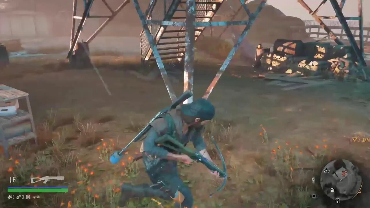 Days Gone