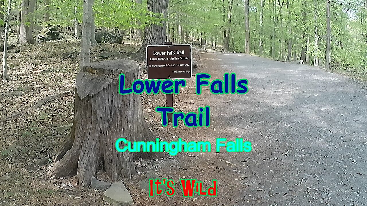 Cunningham Falls Lower Trail Hike