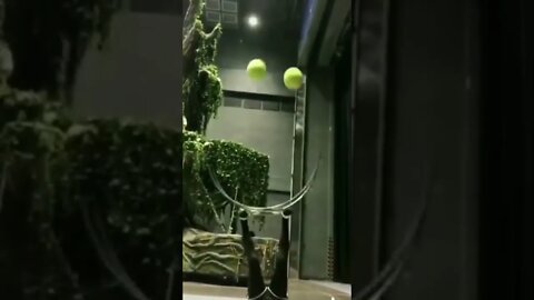 Oddly Satisfying