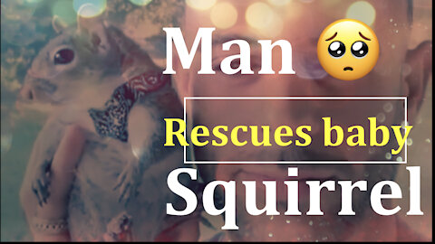 🥺 Man saves Baby Squirrel 🐿 🥺